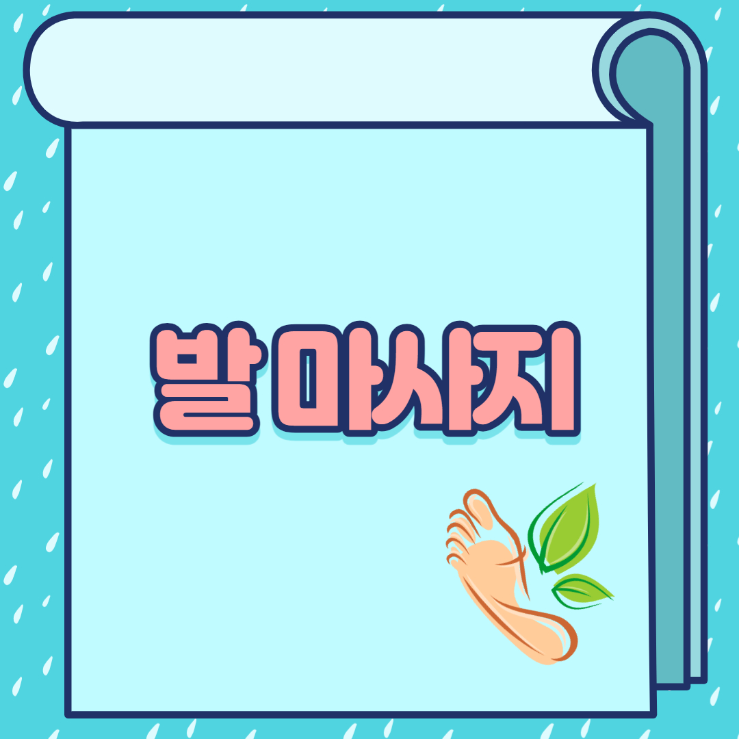 프로그램이미지