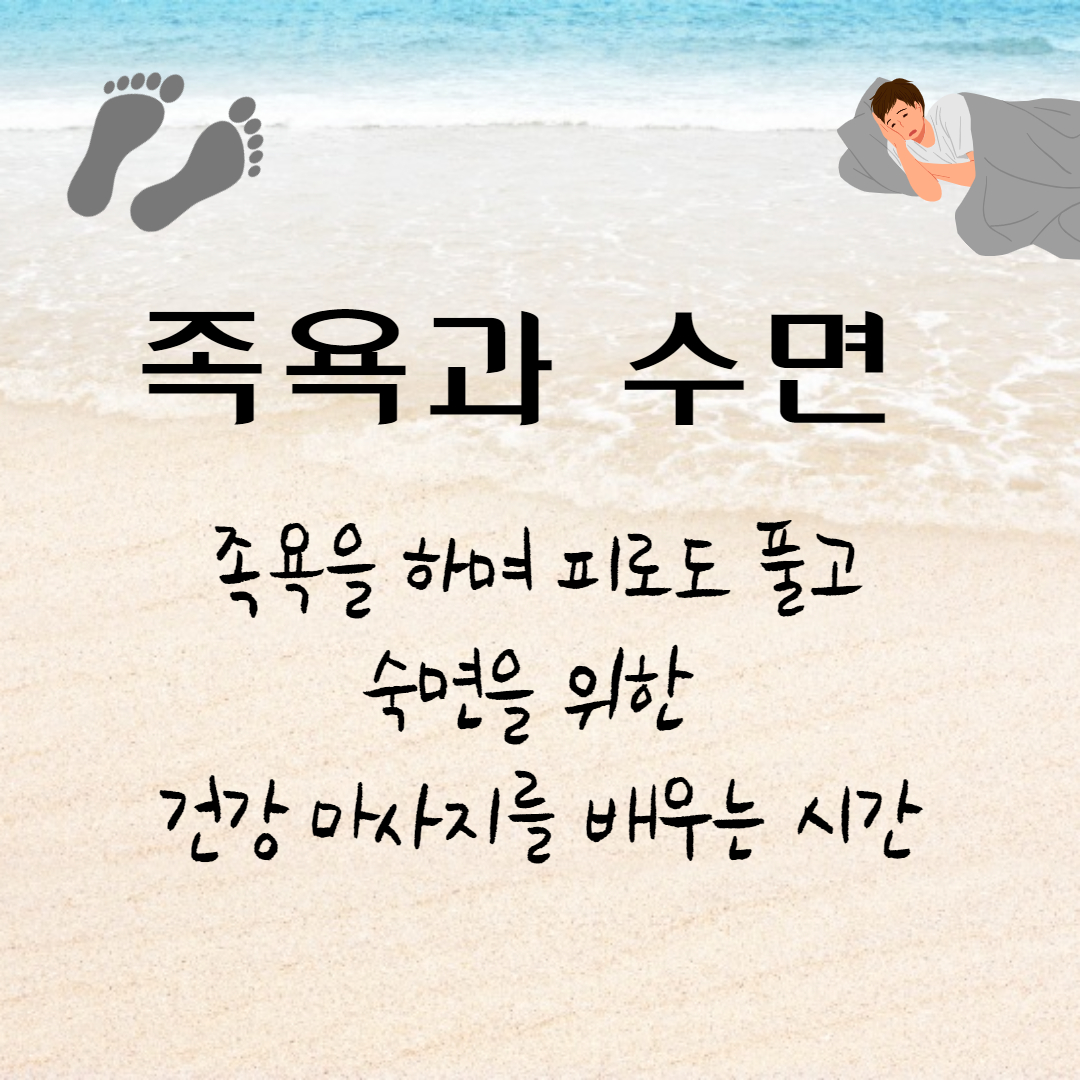 프로그램이미지