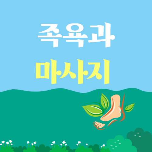 프로그램이미지