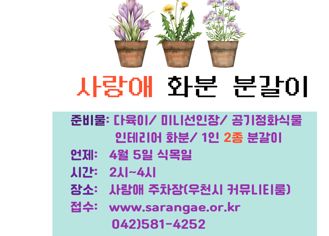 프로그램이미지