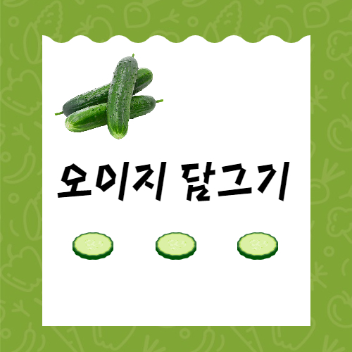 프로그램이미지